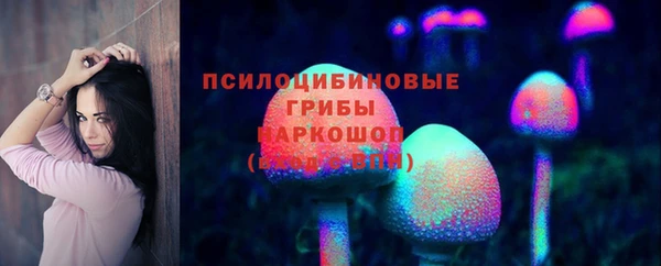 ПСИЛОЦИБИНОВЫЕ ГРИБЫ Алексеевка
