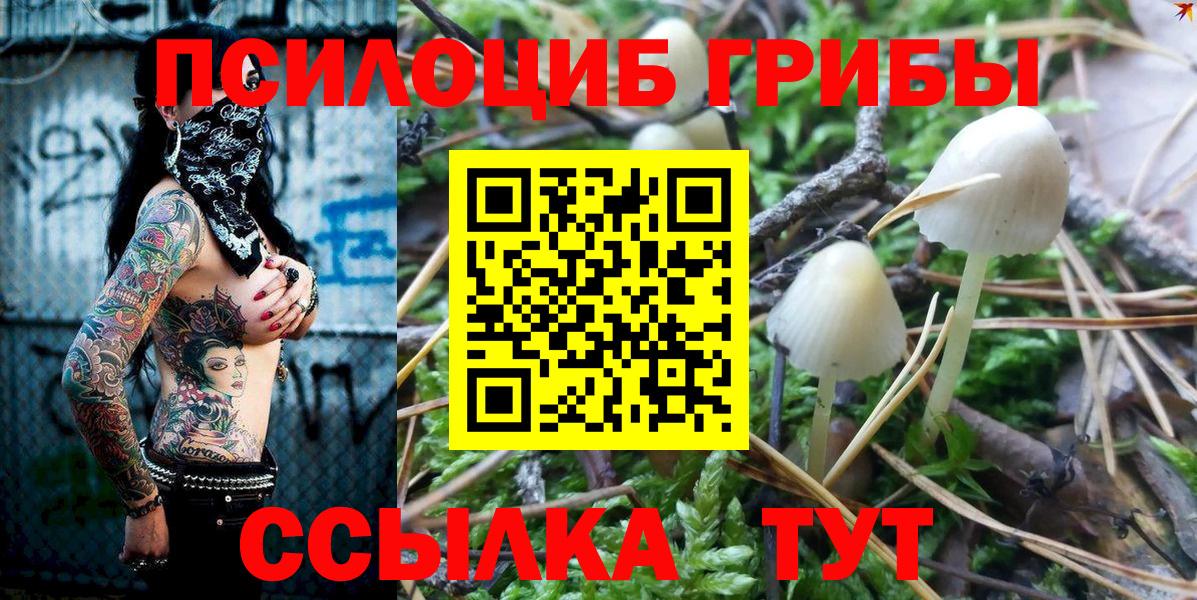 Галлюциногенные грибы Cubensis Сибай