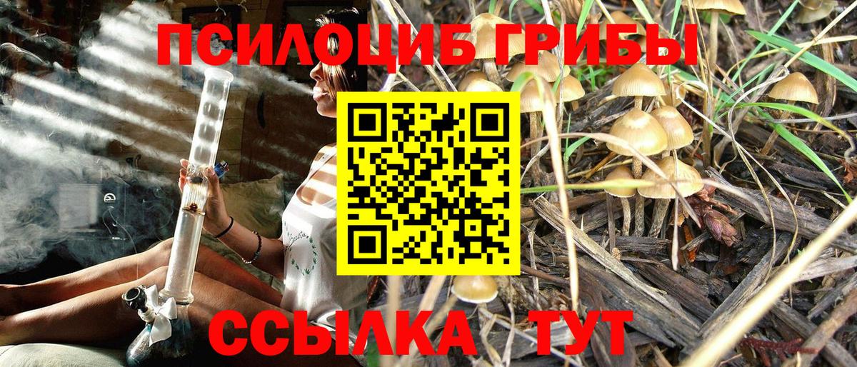 Галлюциногенные грибы Psilocybine cubensis  Вход с VPN  Сибай 